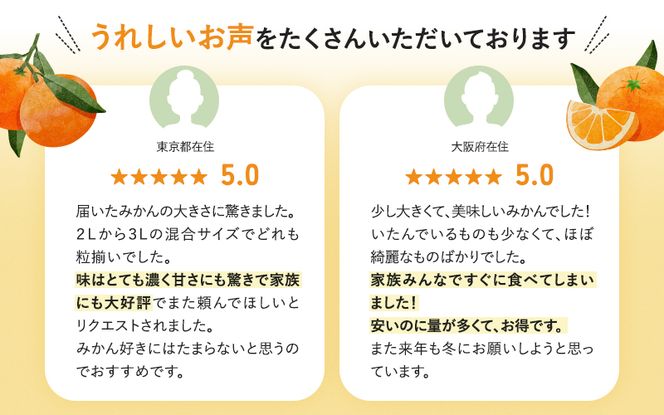 【先行予約】秀優品 大玉 温州みかん 8kg【2L～3Lサイズ】【2025年12月から2026年２月下旬頃に順次発送】＜味好農園＞/ 温州 蜜柑 みかん 柑橘 果物 フルーツ ミカン 【agy011A】