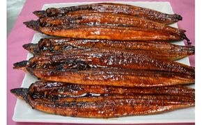 【数量限定！】仁淀川特大肉厚うなぎ10尾セット【株式会社山本養鰻】 [BQAL004]