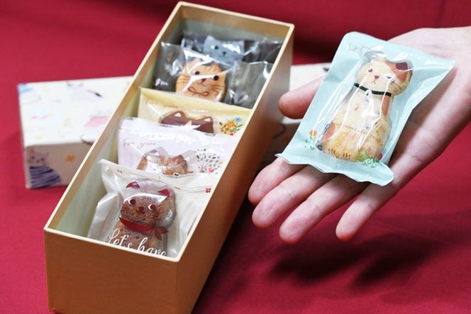 【2026年2月より順次発送】 AI191 フィナンシェ 4個 マドレーヌ 2個 [ 個包装 詰め合わせ セット 猫 かわいい 焼き菓子 プチケーキ バレンタイン スイーツ 菓子 パティスリーシャトン 長崎県 島原市 ]