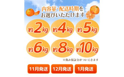 【2026年10月発送予約分】＼光センサー選別／ 【農家直送】【家庭用】こだわりの有田みかん 約4kg＋250g(傷み補償分)  先行予約 有機質肥料100% サイズ混合 【10月発送】みかん ミカン 有田みかん 温州みかん 柑橘 有田 和歌山 ※北海道・沖縄・離島配送不可/みかん ミカン 有田みかん 温州みかん 柑橘 有田 和歌山 産地直送【nuk148-10】