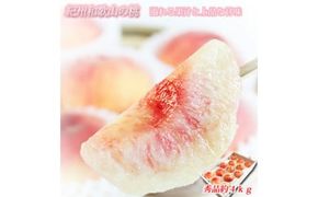 紀州和歌山産の桃 約4kg 化粧箱入 ※2026年6月下旬～8月上旬頃に順次発送予定