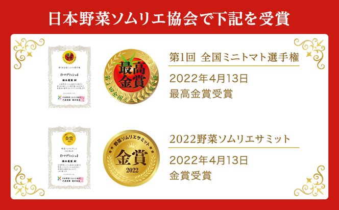  フルーツ トマト ［2026年先行予約］ トマデリッシュ 約1.2kg 橋本農園 岡山 野菜 高糖度 旨味 弾力 果実 甘い サラダ そのまま 岡山県産 緑黄色野菜 
