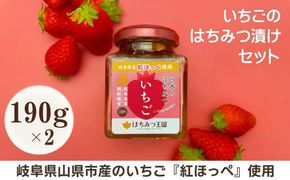 岐阜県産いちごはちみつ漬けセット　190g×2瓶 [No.426]