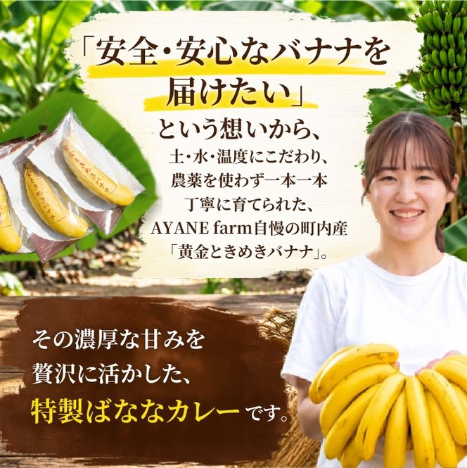 ばななカレーセット|ばなな カレー 黄金ときめきバナナ あまい 特製 益子町産（CA007）