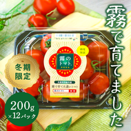 12月以降発送予約【霧で育てた濃厚な味】霧のトマト 200ｇ×12パック