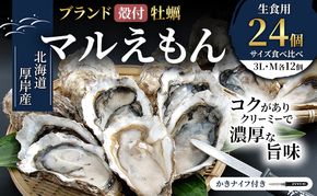 厚岸産 ブランド 殻付カキ マルえもん 生食用 サイズ食べ比べ 24個 (3L・M各12個)[ 魚貝類 生牡蠣 かき 牡蠣 カキ 生ガキ 食べ比べ ]