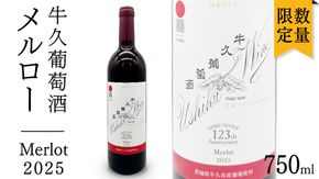 牛久葡萄酒 メルロー 2025 ( 赤 ) 750ml 1本 【数量限定】 【日本ワイナリーアワード三ッ星受賞】 牛久シャトー 日本ワイナリーアワード 三ッ星 3つ星 受賞ワイナリー 赤ワイン 国産ぶどう 葡萄 贈り物 ライトボディ 日本ワイン 茨城農芸学院 わいん