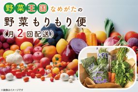 CU-139　野菜王国なめがたの野菜もりもり便（月２回発送）