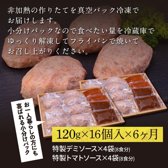 t210cdm　創業50年老舗レストランの幻の和牛あかうしハンバーグ 120g×16ケ 特製デミソース&特製トマトソース×4袋 6ヶ月定期便 土佐あかうし 美鮮豚 牛肉 デミグラス ハンバーグ 小分け 冷凍 美味しい 