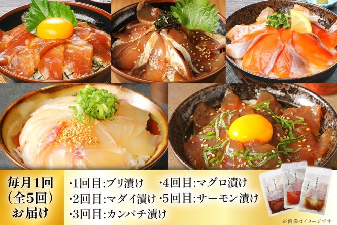 海鮮丼 海鮮漬け丼 5か月 定期便 [請関水産 宮崎県 日向市 452061670] 海鮮丼の具 海鮮 海鮮丼セット 食べ比べ 丼 冷凍 ギフト 漬け丼 ブリ 真鯛 マダイ カンパチ かんぱち まぐろ マグロ サーモン