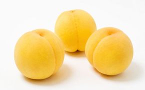 【2026年先行予約】 岡山県産 黄金桃 3.8kg 化粧箱入り・贈答用 高級 おうごんとう 花田青果【9月初旬～9月中旬まで順次発送予定】/ 桃 もも モモ 果物フルーツ 贈答品 贈り物 岡山県【hnds010】