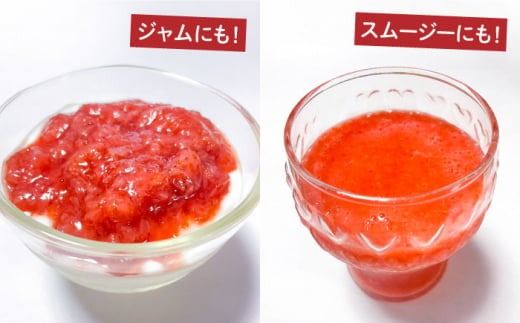 【2026年3月～発送】【訳あり】【数量限定】冷凍 カットいちご「恋みのり」 加工用 約600g×4P / 冷凍 いちご イチゴ 苺 フルーツ 冷凍フルーツ ジャム / 南島原市 / あゆみfarm [SFF005]