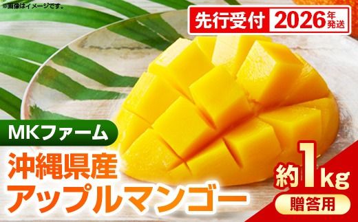 yꌧdzystzy2026NzMKt@[̑pAbv}S[1kgypz- p Mtg s\ ꌧY Yn 썑t[c {̖o Abv}S[ IXX ꌧ d