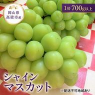 ぶどう シャインマスカット 1房 700g以上 葡萄 フルーツ 岡山 高梁市産 こあに葡萄園 2026年 先行予約 果物類 ぶどう ブドウ 