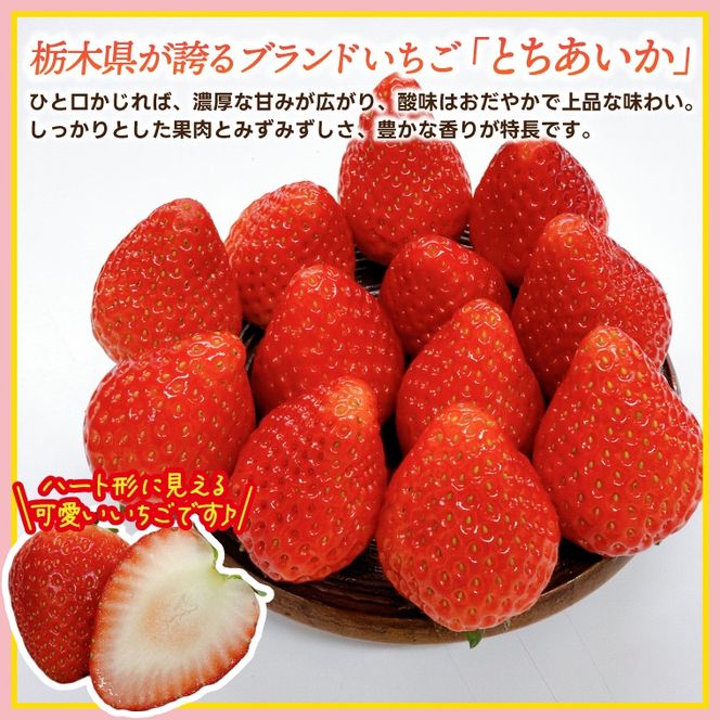 【順次発送】栃木県産 とちあいか 合計1,000g (250g以上×4パック) 農家直送 家庭用 和饗エコファーム【栃木県共通返礼品/高根沢町産】｜栃木県 ふるさと納税 いちご イチゴ 苺 果物 フルーツ とちあいか 熟成 (DW001)
