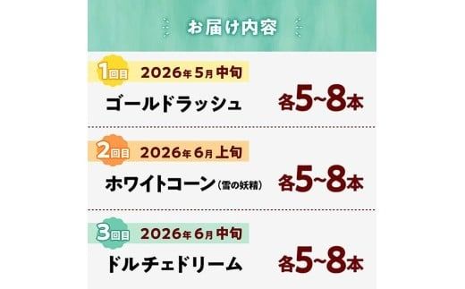 【3回定期便】※令和8年発送※ 大山さんちのスイートコーン3種（5～8本） 【 先行予約 数量限定 期間限定 スィートコーン 2026年発送 先行受付 宮崎県産 九州産 定期便 】 [C07107t3]