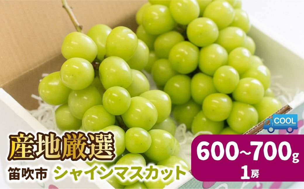 [25年発送先行予約]産地厳選シャインマスカット600g〜700g(1房) ※沖縄・離島配送不可※ 106-021