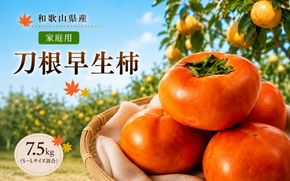 刀根早生柿（とねわせかき） 7.5kg 家庭用 S~L サイズ混合 / 種なし カキ 甘い 美味しい 紀美野町産 ※2026年9月中旬～10月中旬頃に順次発送予定【skg504-c-tone-7d5】