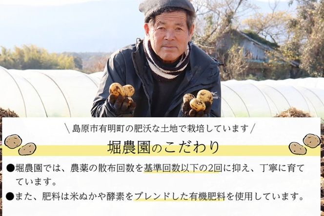 BH050 じゃがいも 訳あり ながさき黄金 出島 約5kg [ 野菜 訳アリ 芋 ジャガイモ 5キロ ほくほく 先行予約 常備野菜 国産 贅沢宝庫 長崎県 島原市 ]