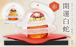 開運白蛇 赤【粋工房 】_HA1624