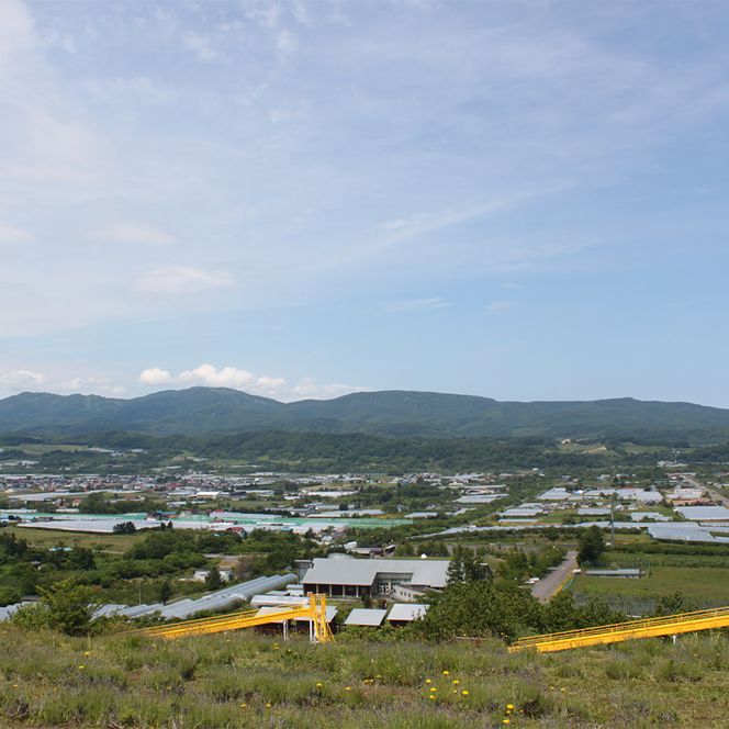 北海道仁木町 寄附のみの応援受付 500,000円コース（返礼品なし 寄附のみ50万円） 寄付 支援 応援 北海道 仁木町 [仁木町役場]