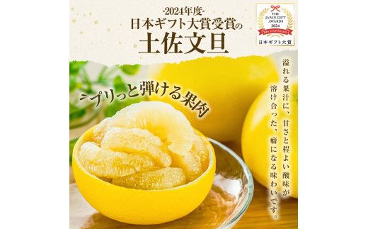 【日本ギフト大賞2024受賞】先行予約 園主こだわり土佐文旦 【大玉5kg】（3L～2L） 2027年1月下旬より順次発送 家庭用 ぶんたん ブンタン 柑橘 【やの一果彩】 [BQAC002]