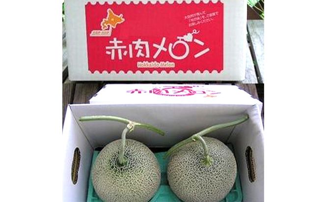 【2026年夏発送】北海道 富良野メロン 2Lサイズ 2玉 計3kg以上 メロン フルーツ 果物