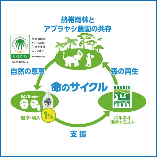 【定期便特別価格】【3ヶ月定期便】ヤシノミ洗剤1000ｍL詰替用　1ケース（8本入）×3回【30970】【サラヤ SARAYA 天然素材 食器 野菜 洗剤 食器用洗剤 ヤシノミ洗剤 食器用 中性洗剤 キッチン洗剤 台所洗剤 無添加 無香料 saraya 茨城県 北茨城市】(CL157)