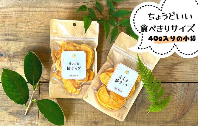 ドライフルーツ 柿チップ 400g ( 40g × 10袋 ) 和歌山県産 果物使用 自社製造 【みかんの会】 AX57