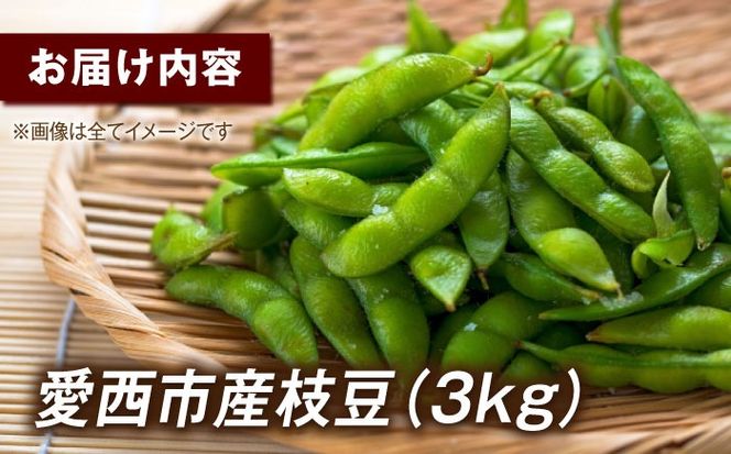 ＼産地直送/愛西市産 枝豆3kg 野菜 枝豆 おつまみ 愛西市 / お米の三輪[AECM004]
