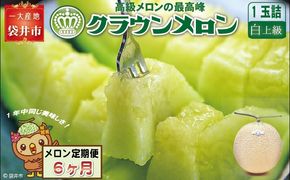 【６ヶ月定期便】クラウンメロン（白上級）１玉入 