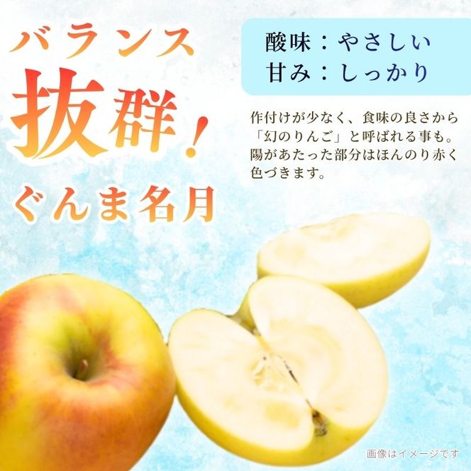 【2026年11月発送】ぐんま名月 秀品 約3kg 7～11玉 りんご 果物 信州 長野
