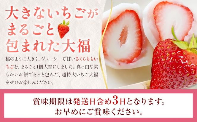 【CF】大福 和菓子 さくらももいちご大福 苺大福 いちご大福 6個 福屋 盛壽の郷《12月下旬-2月末頃出荷》徳島県 佐那河内村 送料無料 菓子 苺 デザート お取り寄せスイーツ さくらももいちご【配送不可地域あり】(北海道・東北・沖縄・離島)---sanagouchi_fky_3_6k---