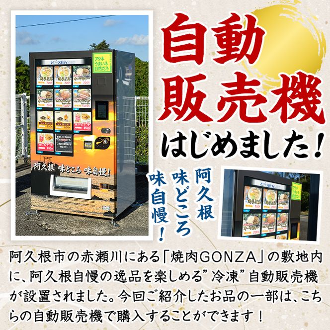 阿久根市特産品詰め合わせセットA(冷凍便) うどん 肉うどん 軟骨うどん 麺 手ごね ハンバーグ 焼肉GONZA お惣菜 おかず 冷凍 焼き芋 やきいも 焼芋 海連 お楽しみ 詰合せ バラエティー コラボ 阿久根市 地元の味 【福永食品】akn005-10