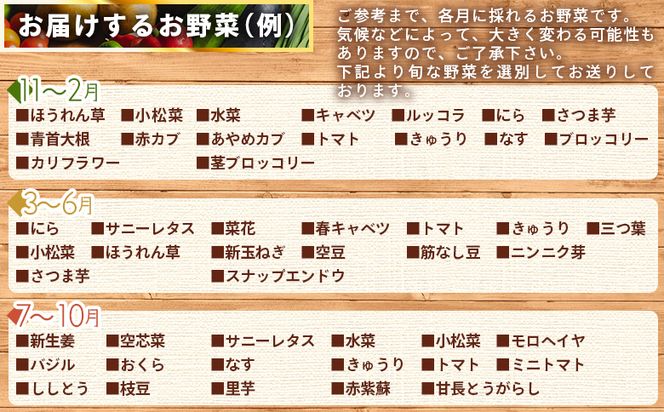こだわりの新鮮野菜 12回定期 Waf-0006