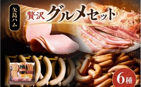 矢島ハム 贅沢グルメ セット 6種 ハム ベーコン セット ドイツブロック  国産 牛肉  豚肉 手作り ハム ソーセージ 詰め合わせ こだわり 加工品 ギフト  お中元 お歳暮 贈り物 株式会社 矢島ハム  神奈川県 茅ヶ崎市