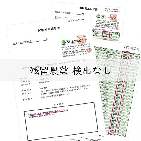無添加 塩だけ 昔ながらの梅干し 南高梅 紀州梅香 完熟 白干し梅 訳あり つぶれ梅1kg （500gパック×2個） 塩分20% 20-G ［KU14］ 303446_ED90013