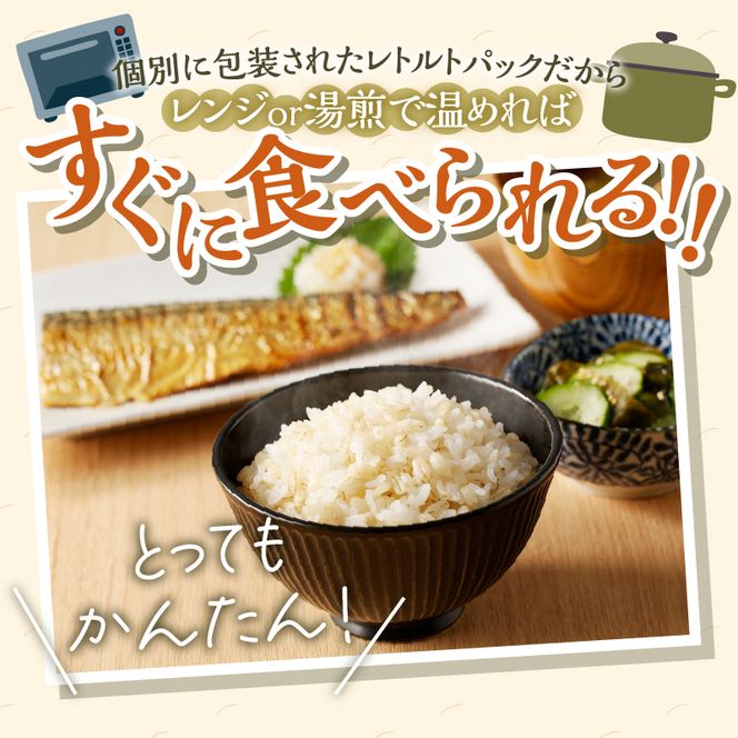 6カ月連続お届け【ごはんで腸活】もち麦ごはんレトルト48パック