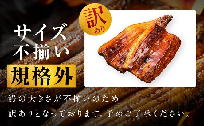 G3973 【規格外】うなぎ 暴れ盛り 250g（2カット）【お試し 鰻 かば焼き 簡単調理 訳あり サイズ不揃い 人気 惣菜 うな重 うな丼 ひつまぶし】