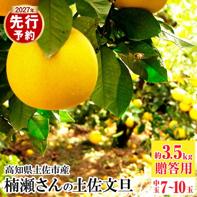 【先行予約】楠瀬さんの土佐文旦 贈答用中玉 約3.5kg 期間限定 高知 土佐 文旦 ぶんたん ブンタン 柑橘 みかん 果物 3.5キロ 2Lサイズ 7～10玉 フルーツ 旬【まる庄果樹園】〈2027年2月15日～2027年4月5日発送〉 [BQAF024]