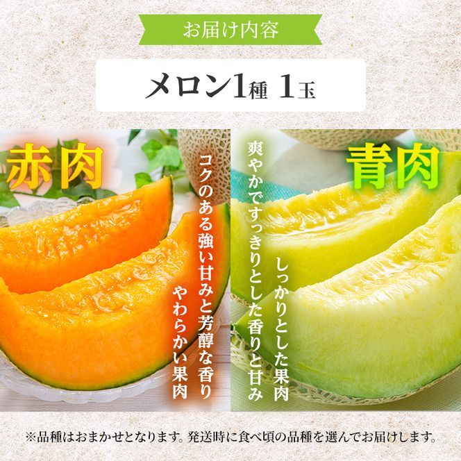 メロン 先行 予約 青森 減農薬栽培メロン 1玉 糖度16度以上保証 減農薬 青肉 赤肉 青肉メロン 赤肉メロン フルーツ 果物 旬のフルーツ 旬の果物 旬 夏 レビュー 高評価 先行予約 2026 2026年 青森県