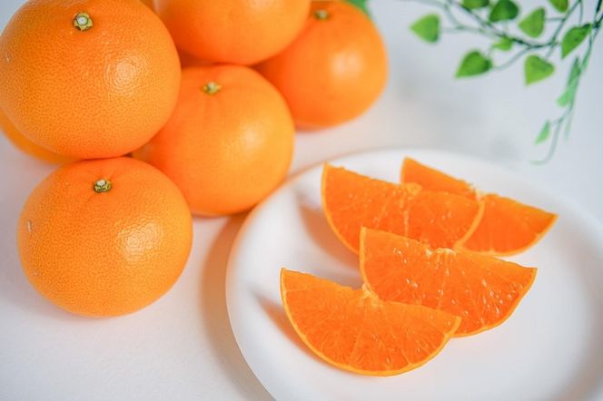 お試し規格 柑橘の大トロ ハウス せとか 厳選 中玉 2玉入 手さげ箱 南泰園 和歌山 有田 	BS176