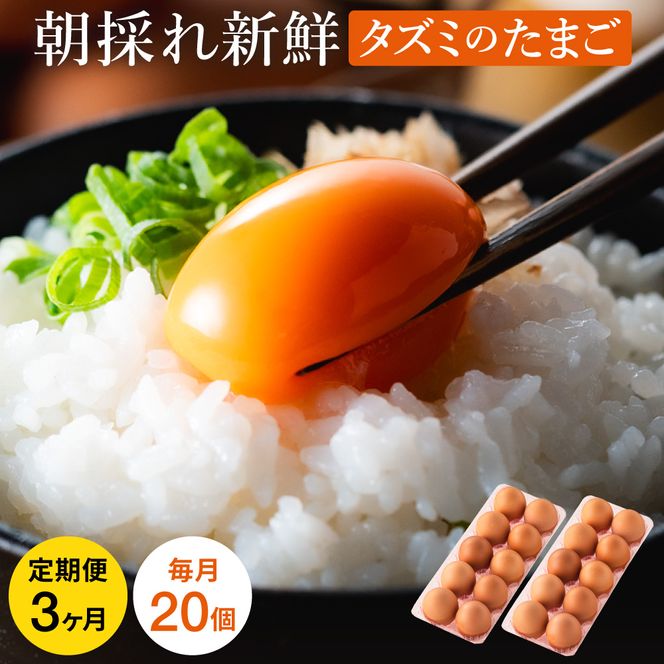 【累計600万個突破！】★TVで紹介されました★【定期便】タズミの卵Ｍサイズ（20個×3か月）015AB02N.／こだわり卵 市川町産 兵庫県産 たまご たまごかけご飯 玉子 生卵 鶏卵 タマゴ 卵焼き TKG 3か月 定期便