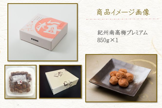 【定期便・2ヵ月毎 全5回】紀州南高梅 プレミアム 850g ［YM12］ 303446_DX90027