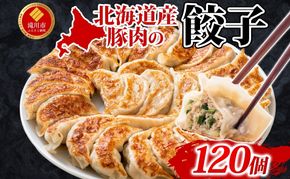【大容量】北海道産豚肉のぎょうざ 120個!冷凍餃子 ギョーザ 国産 焼餃子 点心 滝川市 冷凍食品