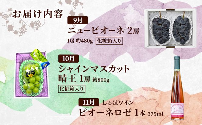 定期便 2026年 先行予約 岡山の人気果物と是里ワイナリーのワイン ぶどう尽くし 3回コース ぶどう ピオーネ ワイン シャインマスカット 晴王 赤磐市