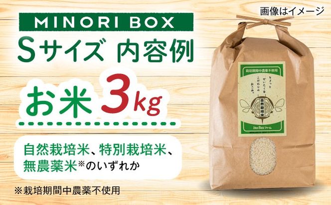 【全3回定期便】糸島産 肉 米 野菜 果物 厳選詰め合わせ MINORI BOX Sサイズ 糸島市 / emma.Inc / 米 肉 野菜 果物 詰め合わせ[AOP008]