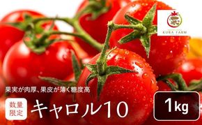 【2027年7月より発送】北海道 富良野市産 完熟ミニトマト（キャロル10）約1kg トマト 甘い 野菜 新鮮 数量限定 先着順 【藏ファーム】
