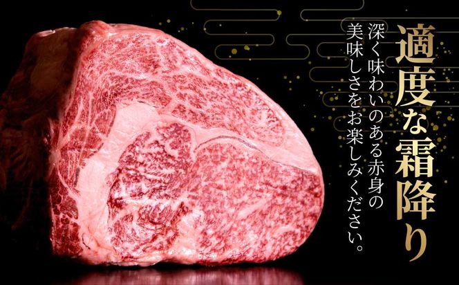 【佐賀産和牛】ヒレ サイコロ ステーキ 500g ステーキ E-282