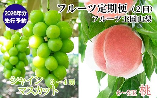 【2026年発送分 先行予約】【フルーツ王国やまなしのフルーツ定期便】 小林農園のシャインマスカット（３～４房 ２kg前後）＆桃（６～９玉 ３kg前後）定期便（２回）　シャイン シャインマスカット ぶどう ブドウ 葡萄 桃 もも 果物 くだもの フルーツ 定期便 食べ比べ 山梨 やまなし